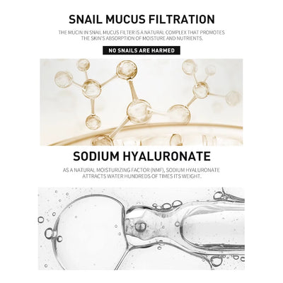 Snail Collagen Face Cream/Repair Essence Moisturizing Lifting Firming Smoothing Nourishing Cream Korean Cosmetics Skin Care